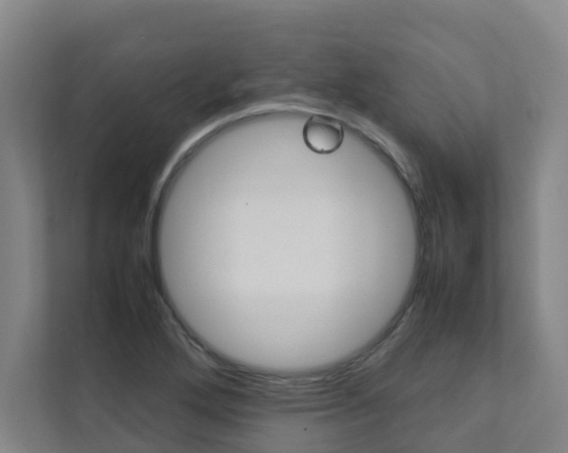 X0000112071272200908040943