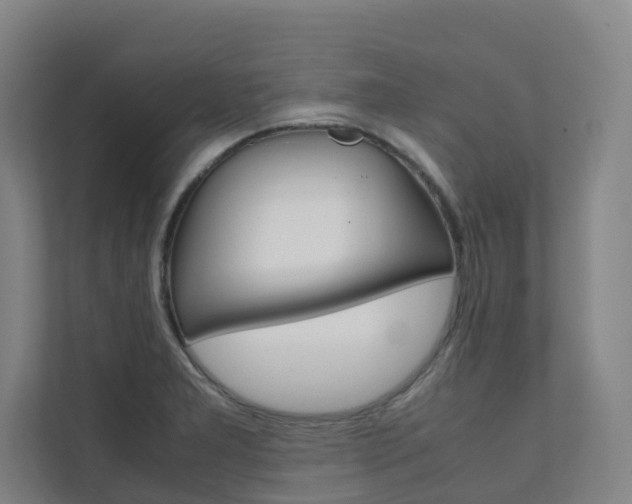X0000112071277200908040943