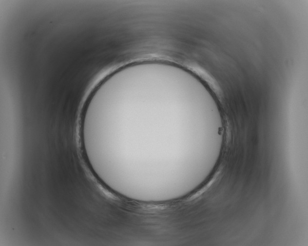 X0000112071278200908040943