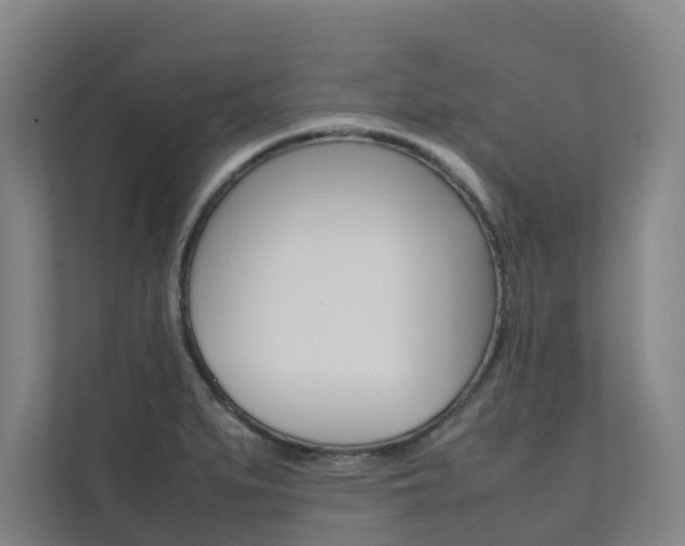 X0000112071279200908040943