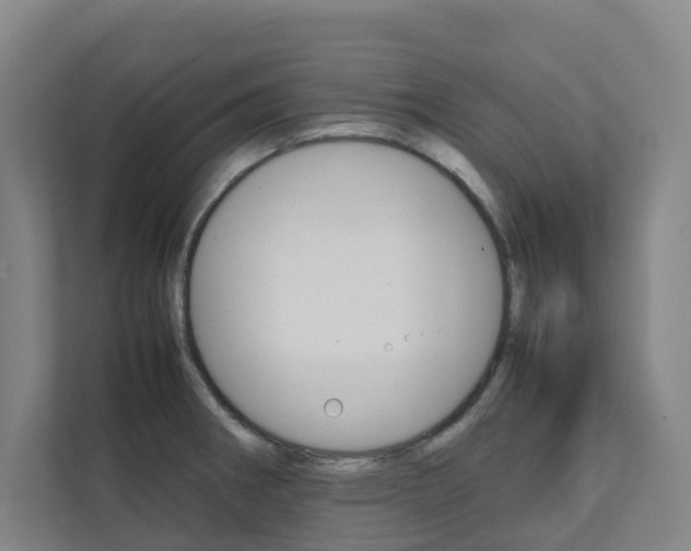 X0000112071282200908040943