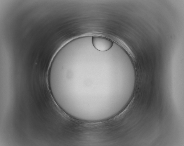 X0000112071284200908040943