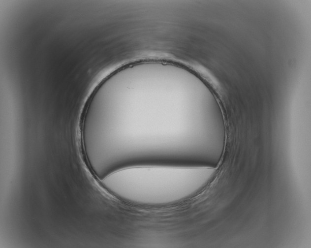 X0000112071287200908040943