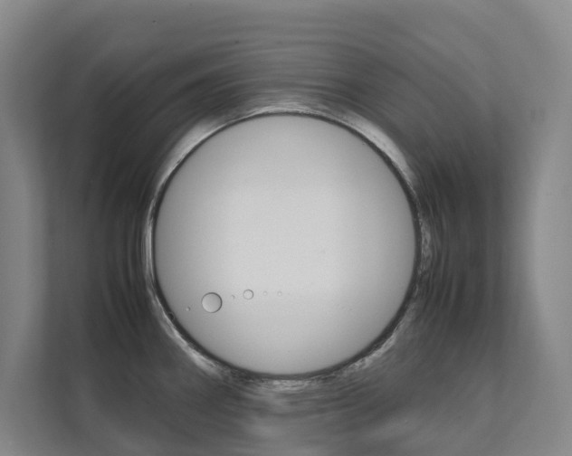 X0000112071290200908040943