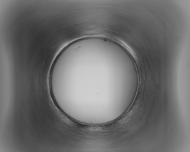 X0000112071291200908040943