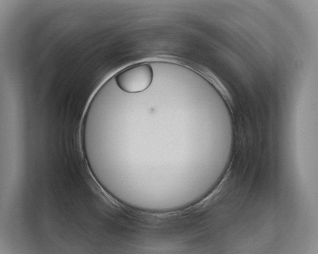 X0000112071292200908040943