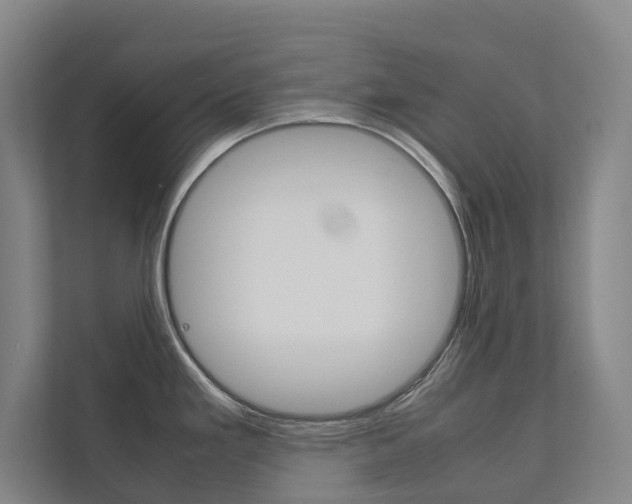 X0000112071293200908040943