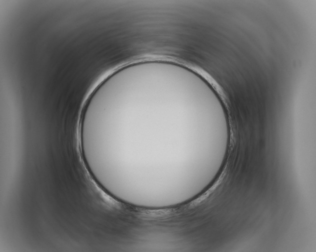 X0000112071294200908040943