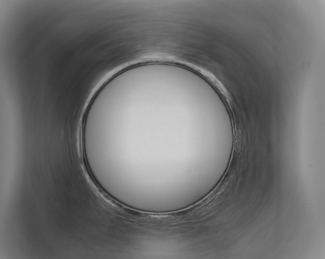 X0000112071295200908040943