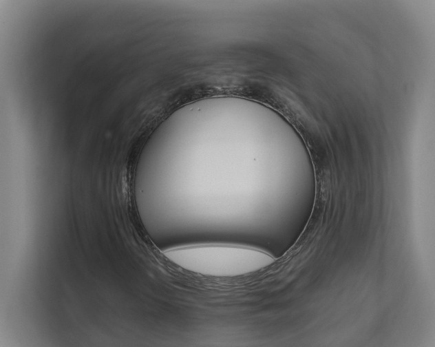 X0000112071298200908040942