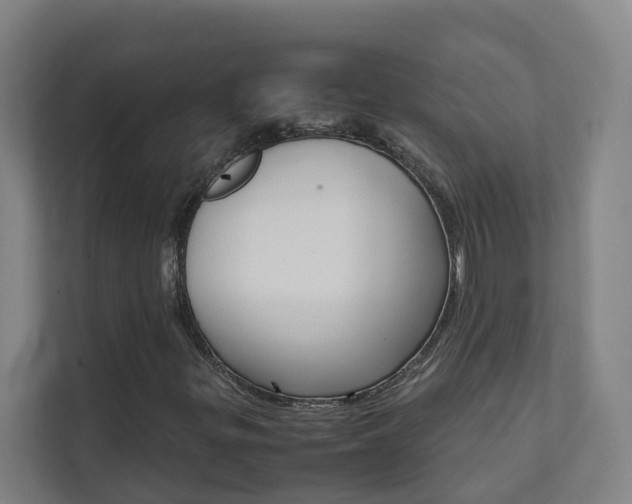 X0000112071299200908040942