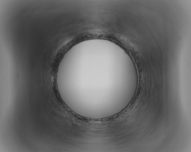 X0000112071302200908040942