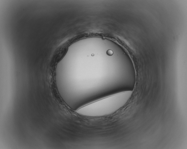 X0000112071303200908040942