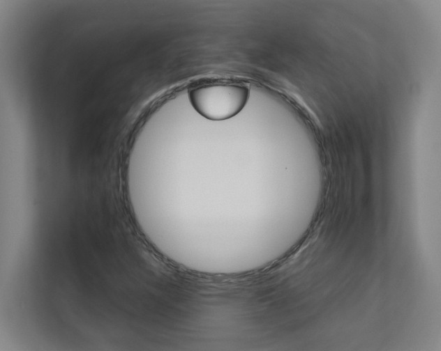 X0000112071304200908040942