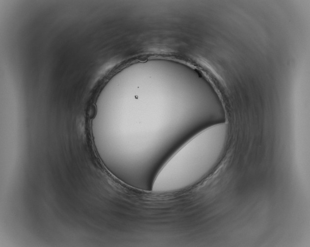 X0000112071307200908040942