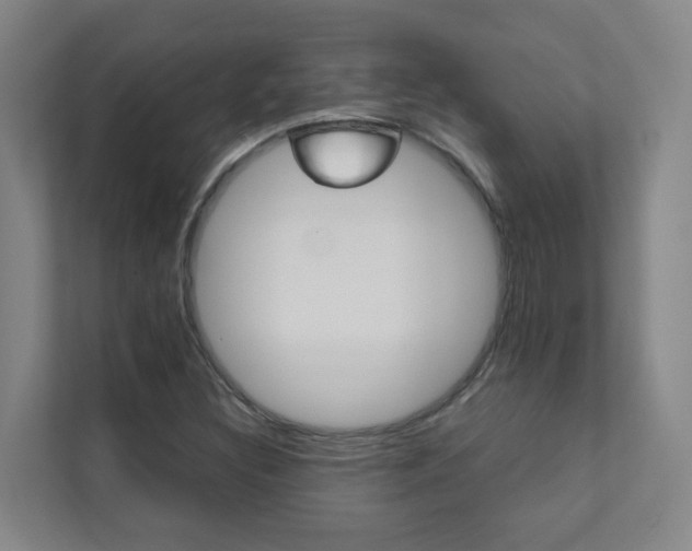 X0000112071308200908040942