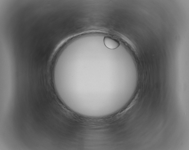 X0000112071310200908040942