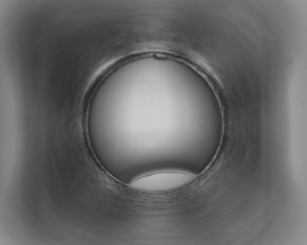 X0000112071312200908040942