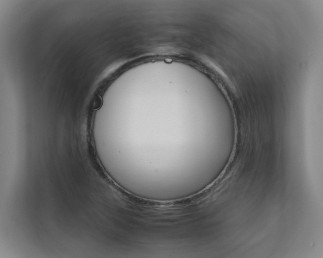 X0000112071315200908040943