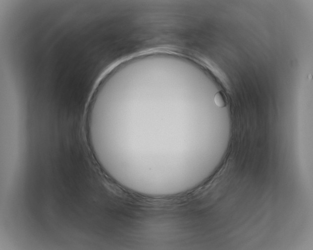 X0000112071316200908040943