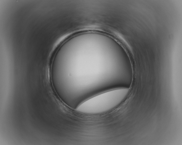X0000112071320200908040943