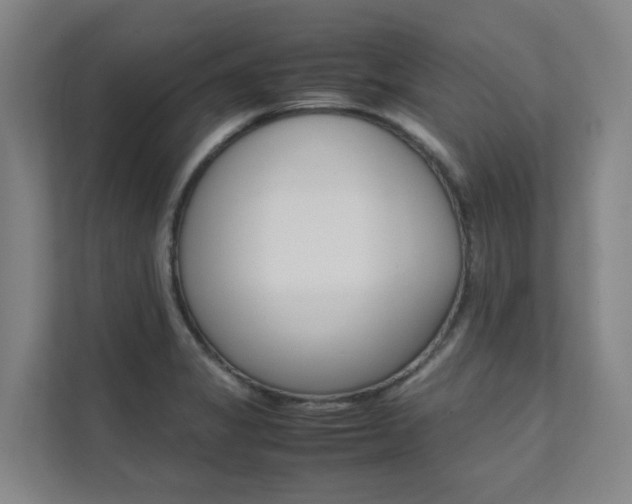 X0000112071325200908040943