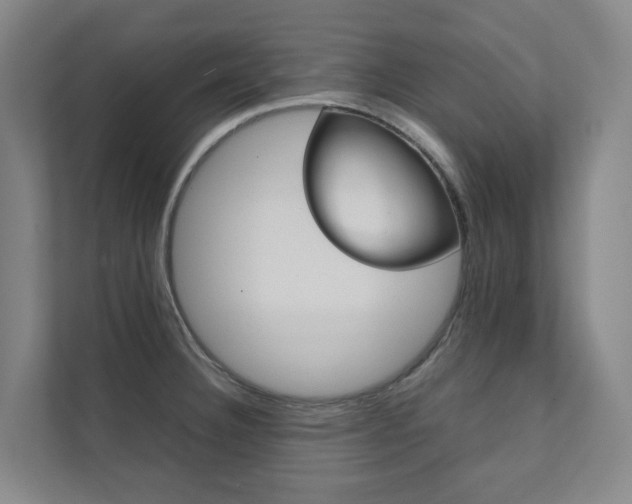 X0000112071332200908040943