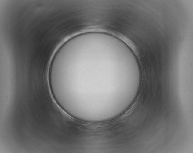 X0000112071334200908040943