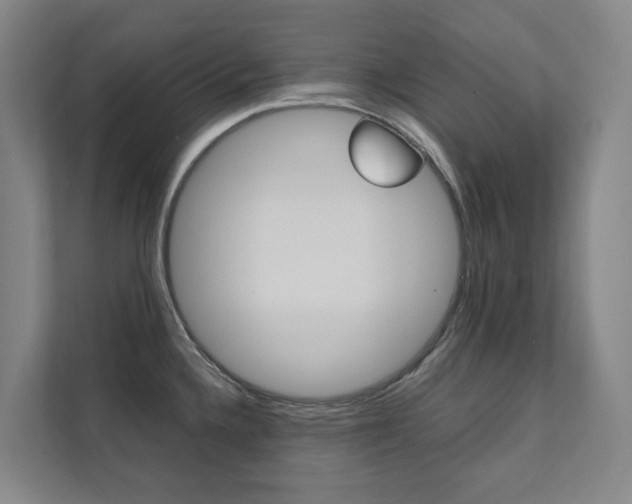 X0000112071336200908040943