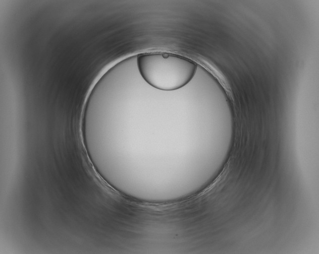 X0000112071340200908040943