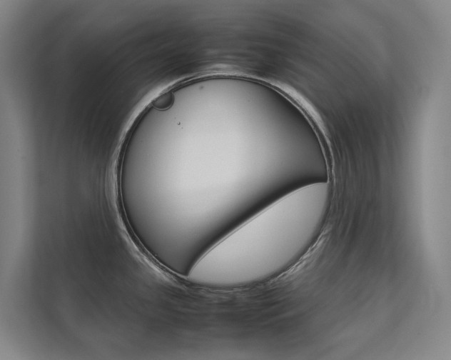 X0000112071341200908040943