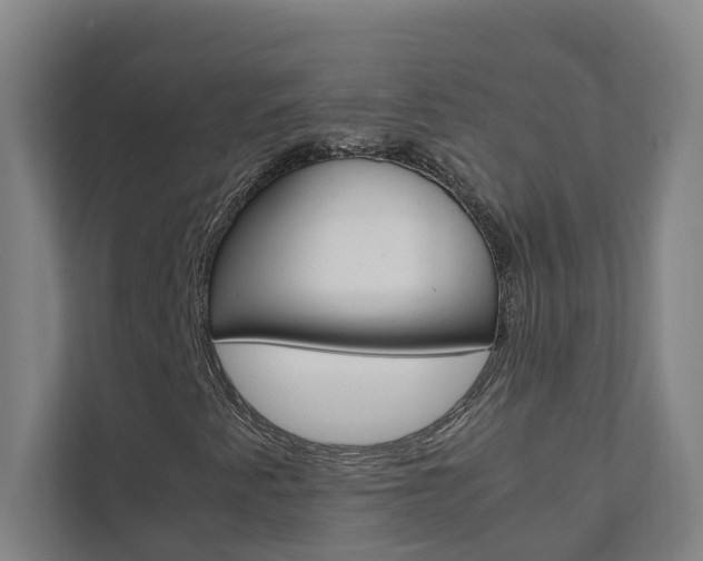 X0000112071345200908040942