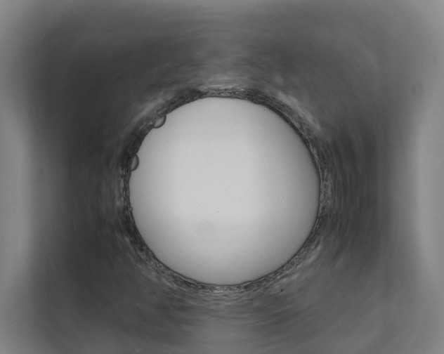 X0000112071350200908040942