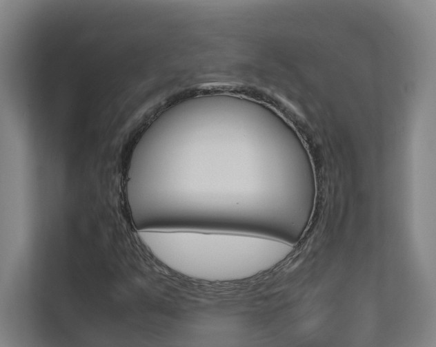 X0000112071351200908040942