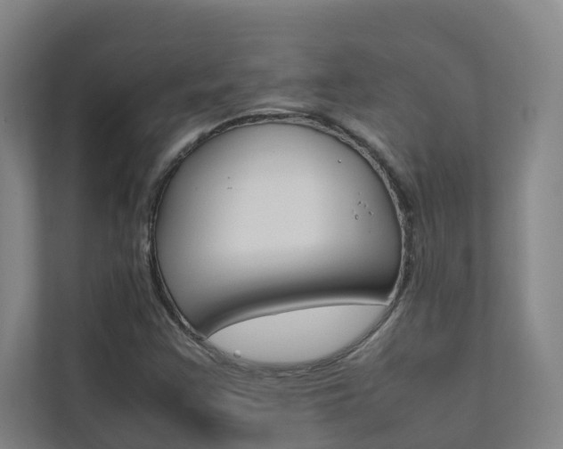 X0000112071355200908040942