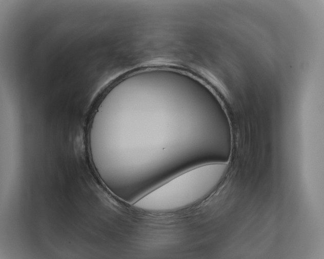 X0000112071356200908040942