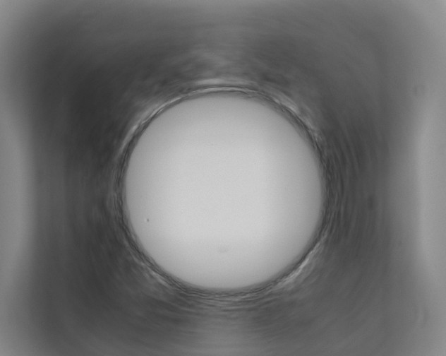 X0000112071357200908040942