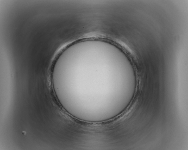 X0000112071358200908040942