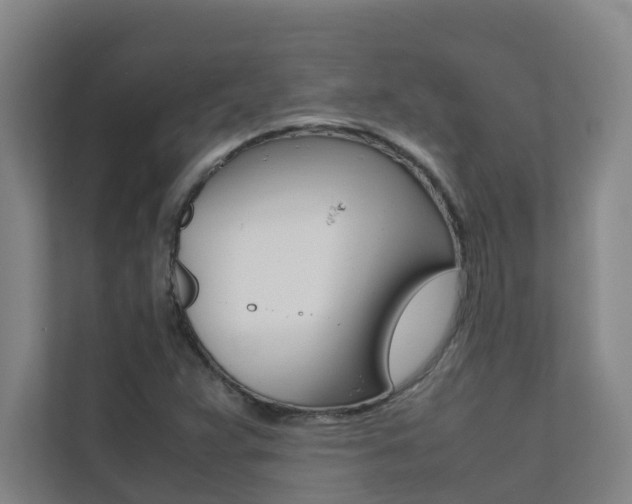 X0000112071359200908040942