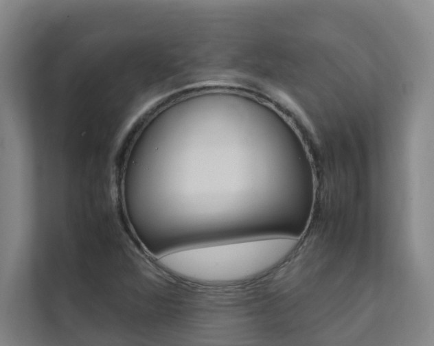 X0000112071360200908040942