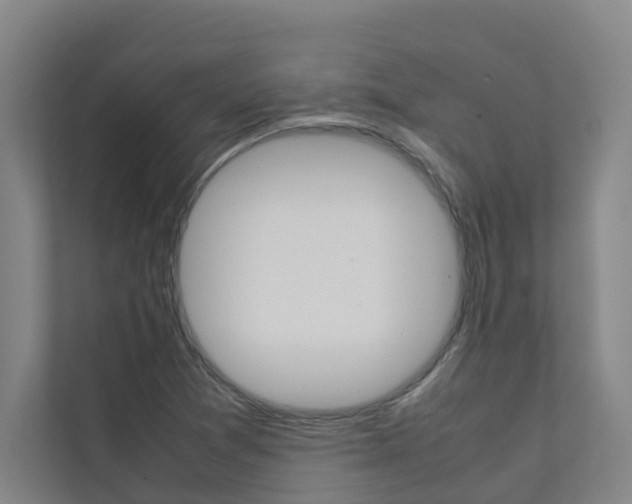 X0000112071361200908040942