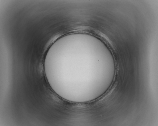 X0000112071362200908040942