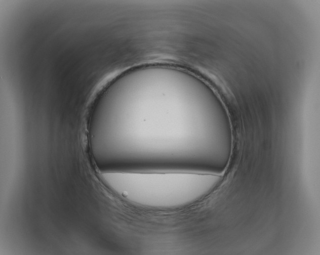 X0000112071363200908040942