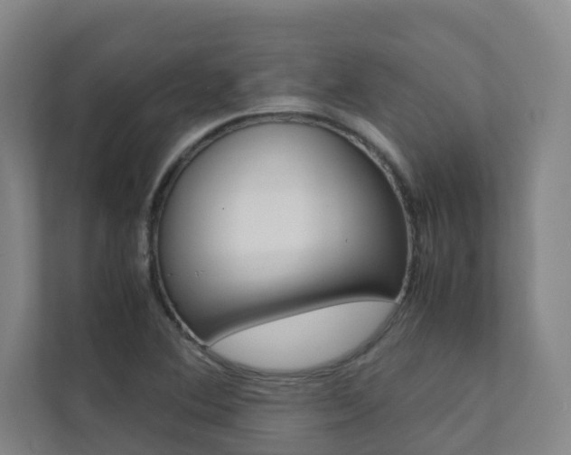 X0000112071364200908040942
