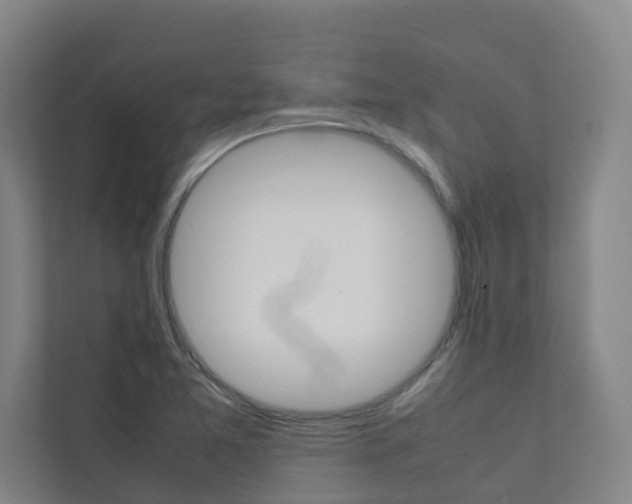 X0000112071365200908040942