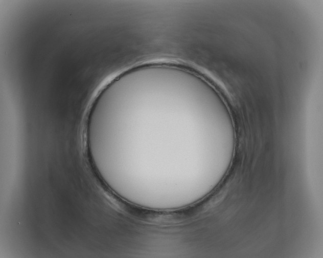 X0000112071367200908040942