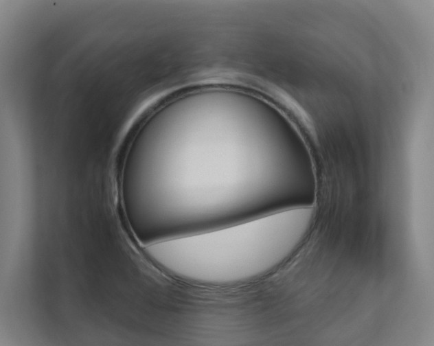 X0000112071368200908040942