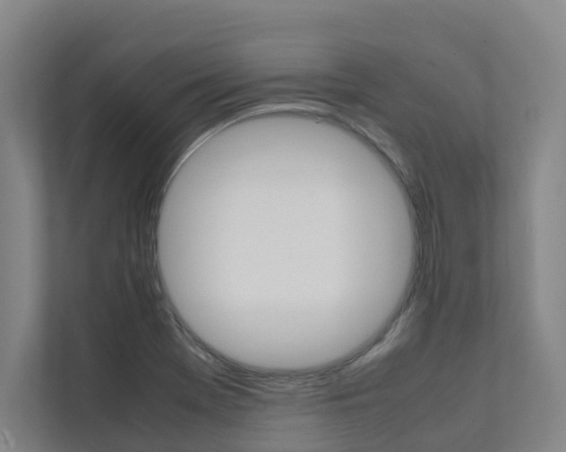 X0000112071369200908040942