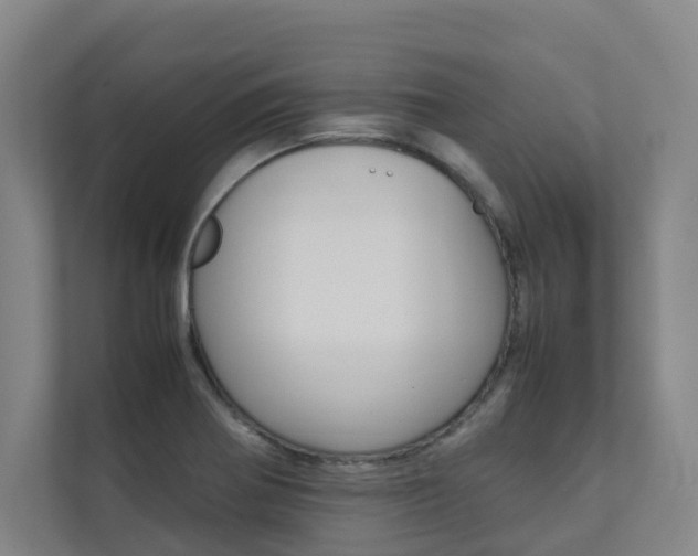 X0000112071370200908040942