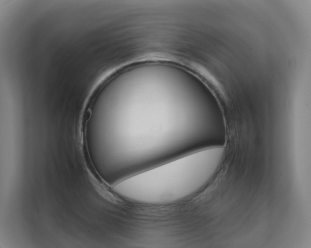 X0000112071372200908040942